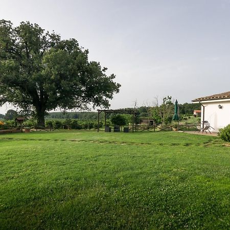 Agriturismo Il Poggio Vetralla Eksteriør billede