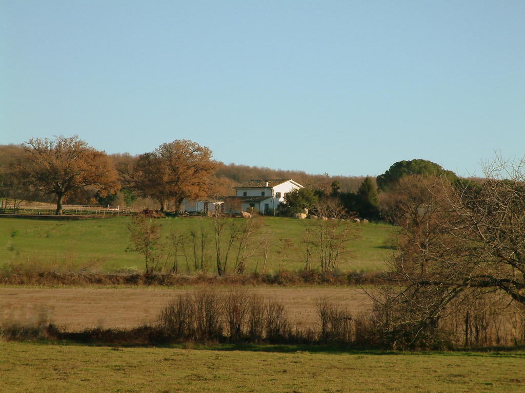Agriturismo Il Poggio Vetralla Eksteriør billede