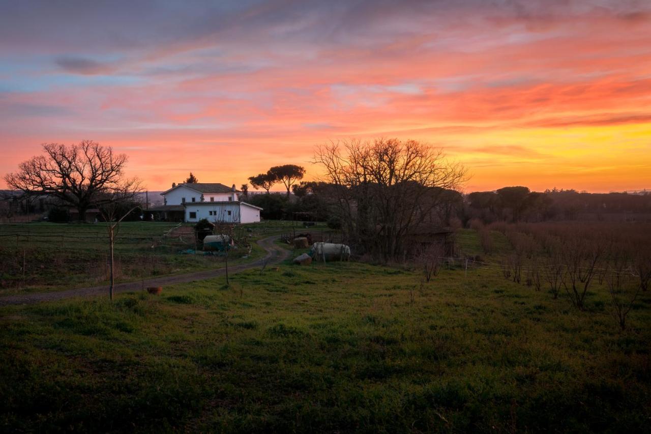 Agriturismo Il Poggio Vetralla Eksteriør billede