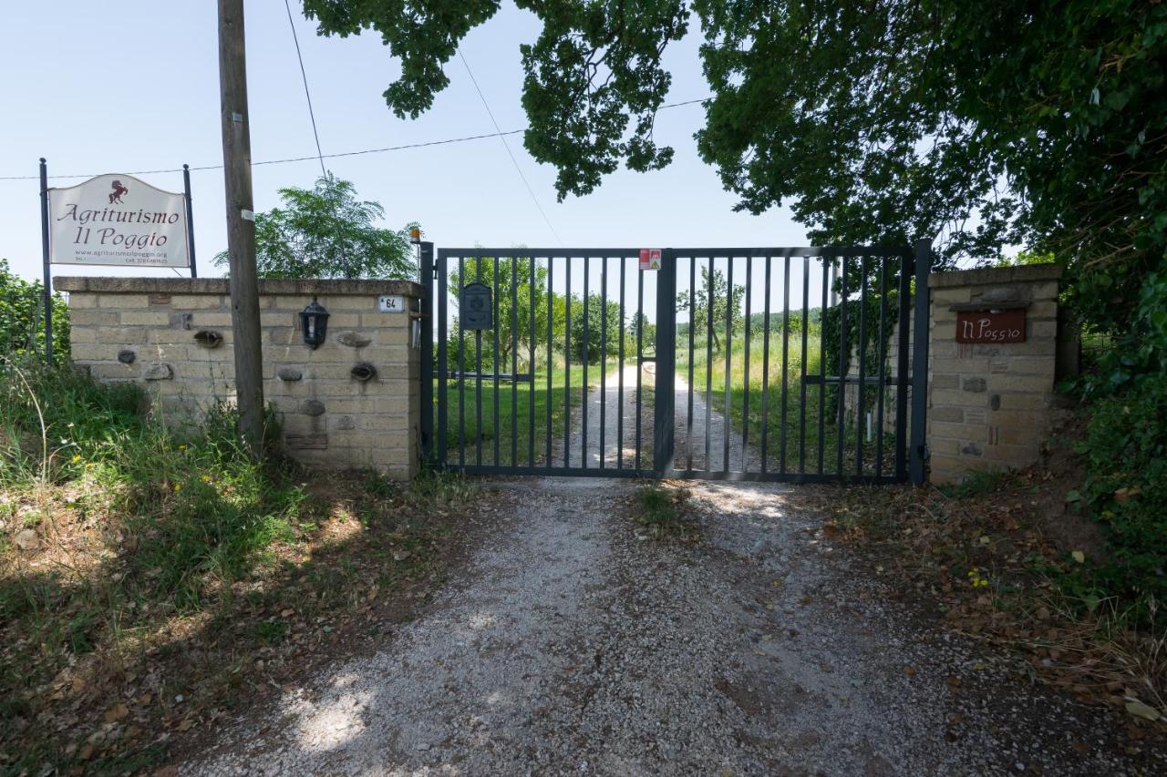 Agriturismo Il Poggio Vetralla Eksteriør billede