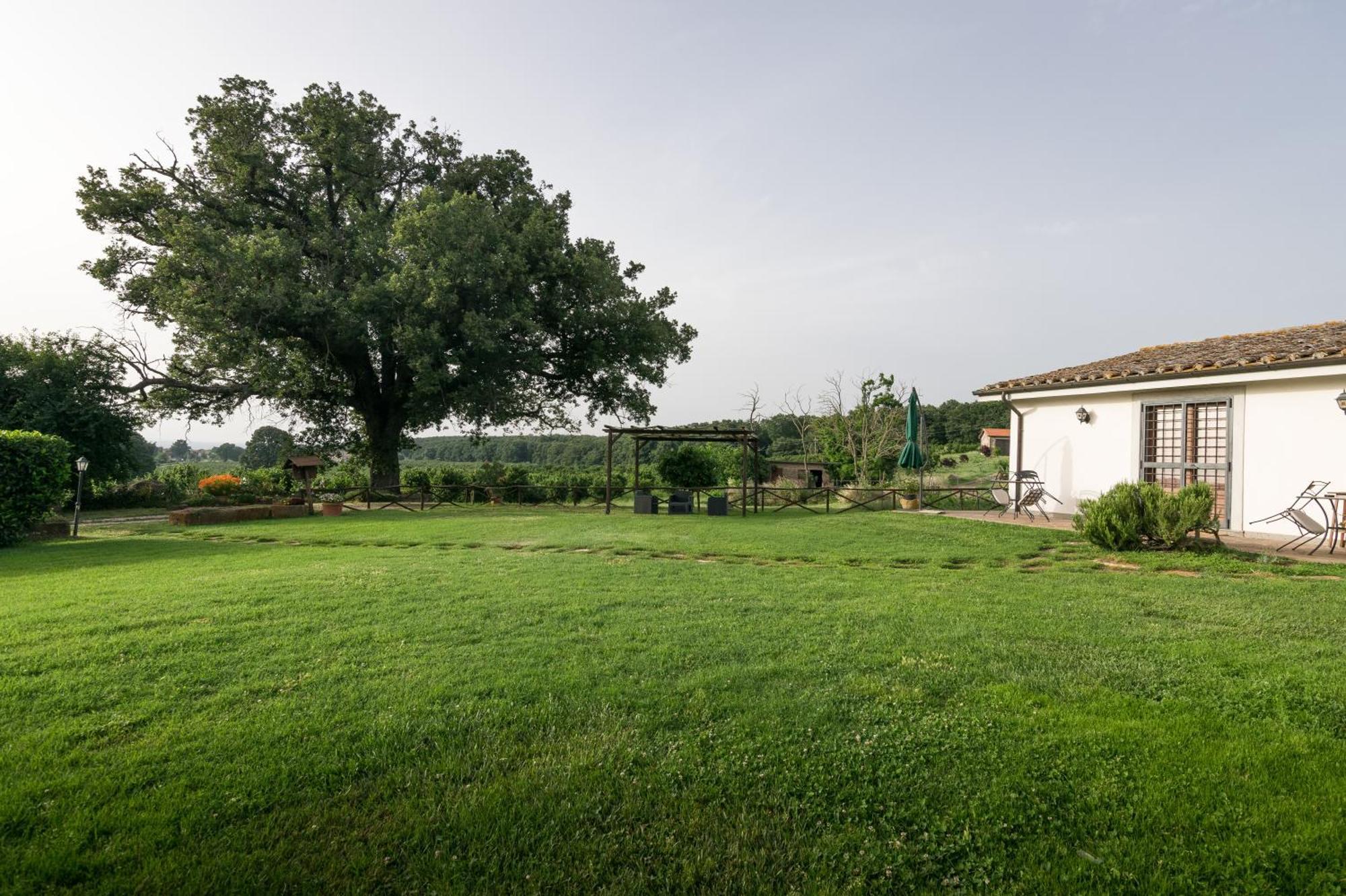 Agriturismo Il Poggio Vetralla Eksteriør billede