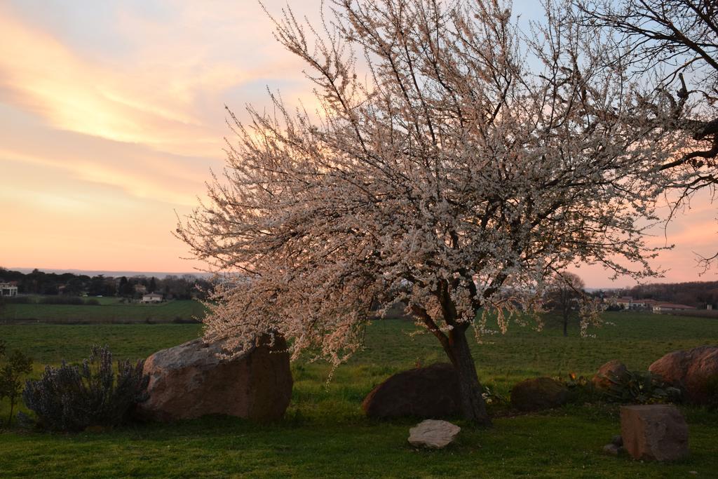 Agriturismo Il Poggio Vetralla Eksteriør billede