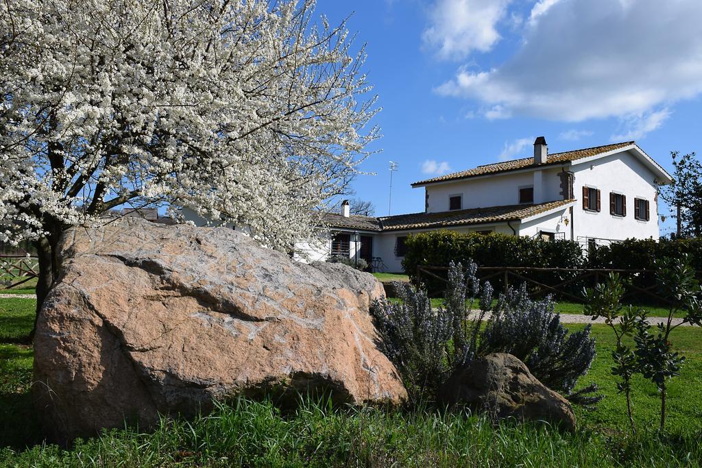 Agriturismo Il Poggio Vetralla Eksteriør billede
